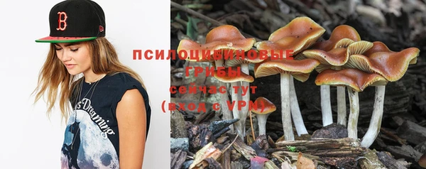 ECSTASY Нефтекумск
